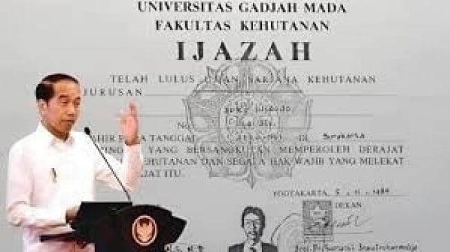 Ijazah Udah Nggak Relevan? 3 Alasan Kenapa Perusahaan Kini Lebih Pilih Kandidat dengan Portofolio daripada Gelar